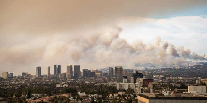 Wildfire Gambling: Examining The Los Angeles Fire Betting Market Wildfire Gambling: Examining The Los Angeles Fire Betting Market