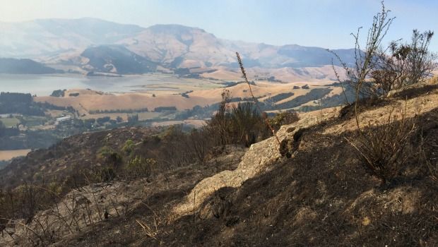 Wildfires Rage: Homes Lost, Communities Evacuated In Eastern Newfoundland Wildfires Rage: Homes Lost, Communities Evacuated In Eastern Newfoundland