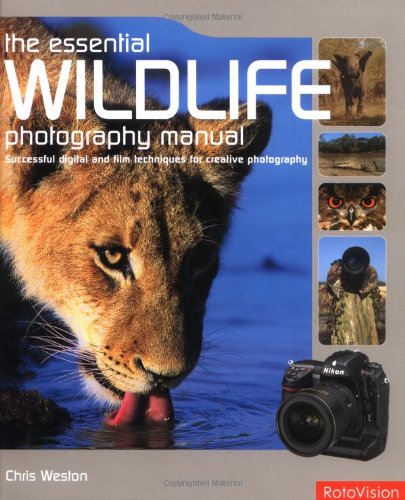 Winterwatch: Essential Equipment For Winter Wildlife Photography Winterwatch: Essential Equipment For Winter Wildlife Photography